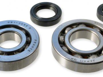 Kurbelwellenlager Satz Top Performance Kymco