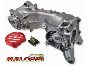 Motorblock Malossi C-One 70ccm Piaggio