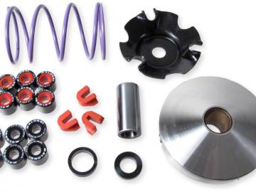 Variator Malossi Multivar 2000 Team für Piaggio