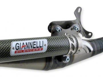 Auspuff Giannelli Reverse Piaggio
