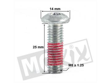 Bremsscheiben Schraube M8x25 Peugeot