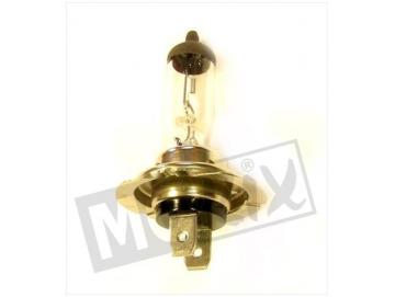 Lampe PX26D H7 12V 55W