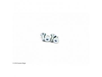 Schraube für Bremszylinder Abdeckung