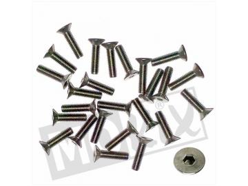 Schraube für Bremszylinder Abdeckung M4x16