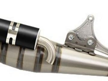 Auspuff Tecnigas RS II für Minarelli liegend 100 2T