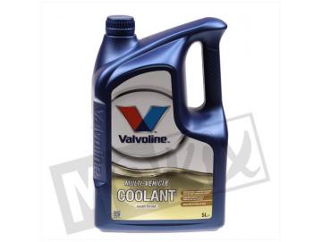 Kühlerfrostschutz Valvoline Maxlife Blau 5L