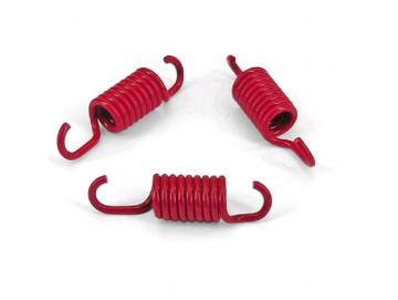 Kupplungsfedern Carenzi für Originale Kupplung 107mm