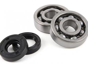 Kurbelwellenlager Satz Motoforce für Piaggio